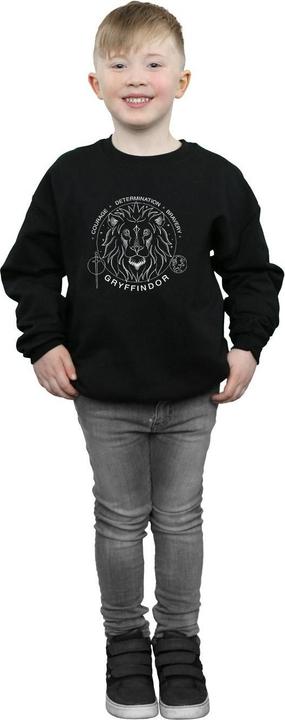 Immagine prodotto Gryffindor Seal Felpa Ragazzi (128)