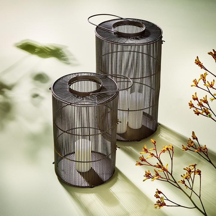 Actual product image Lambert Kazumi