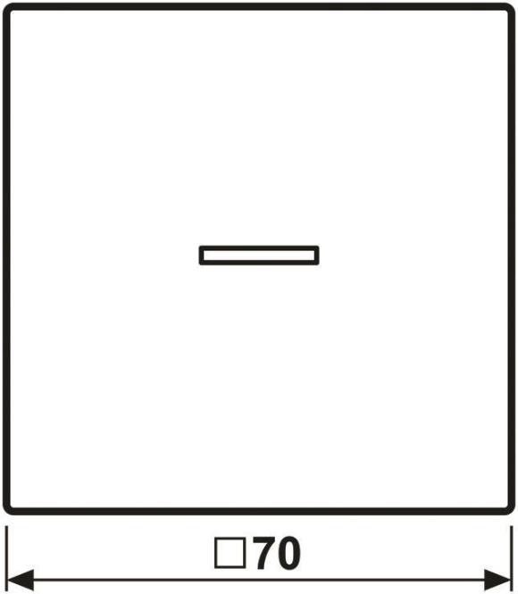 JUNG Home button
