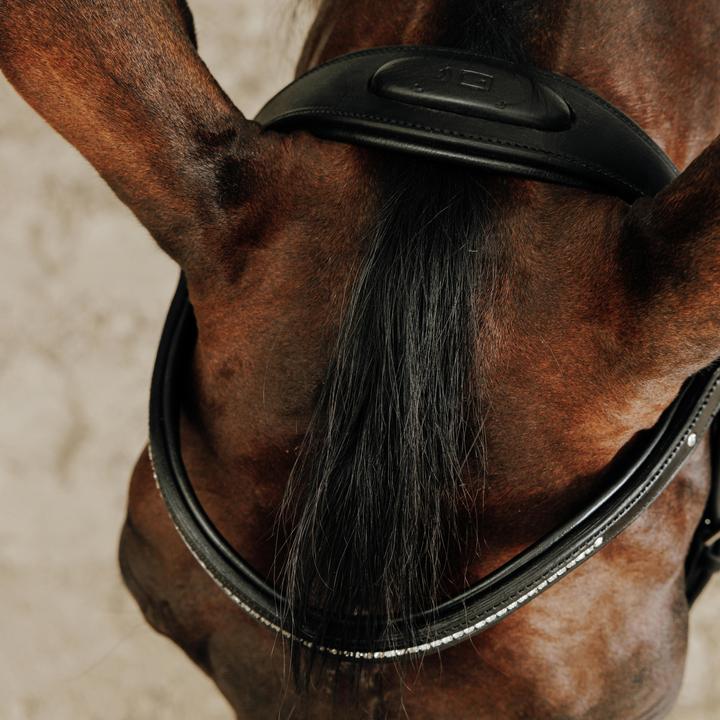 Immagine prodotto Fouganza Trense 580 Leder Strass schwarz