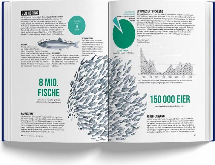 Produktbild Das Nordseebuch