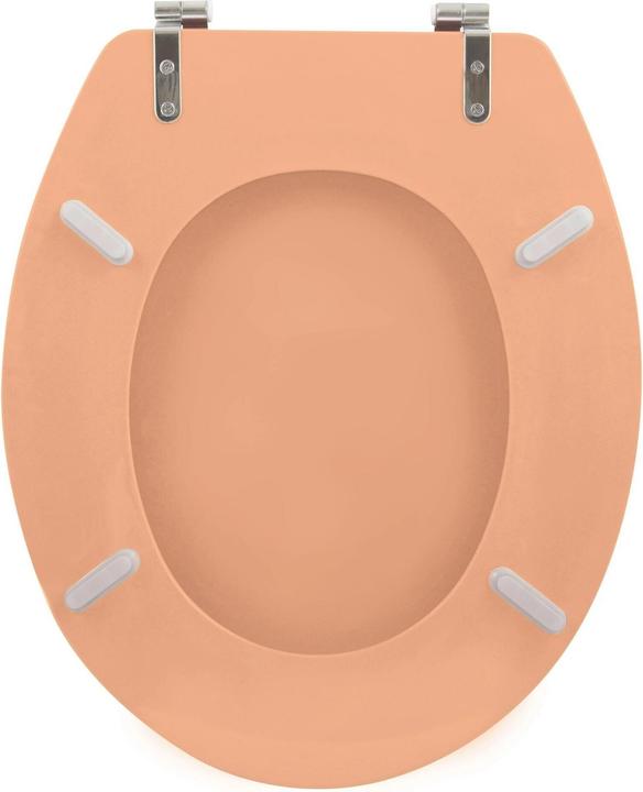 Image du produit MSV Cleo