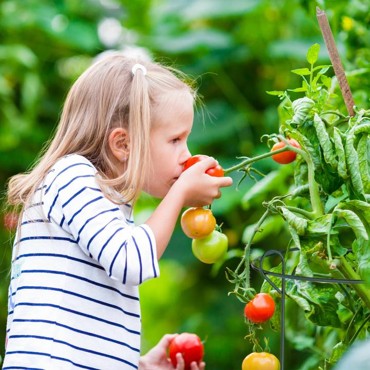 Produktbild Relaxdays 6x Kleidersack