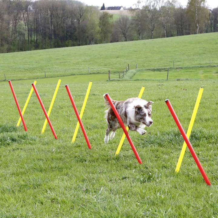 Actual product image Kerbl Complete set (One size, Agility)