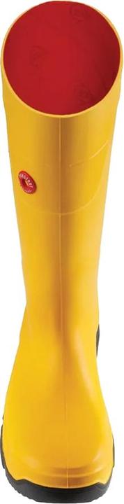 Produktbild Dunlop Hochschäftige Sicherheitsstiefel Purofort FieldPRO (45)