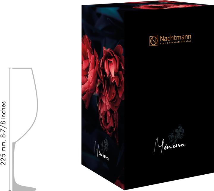 Immagine prodotto Nachtmann Minerva (1x, 3.35 l)