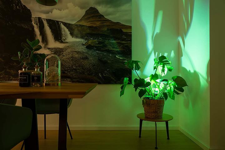 Productafbeelding Ceylee C-01 Plant Spotlight