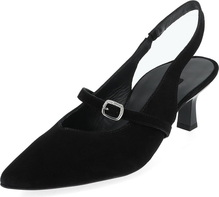 Capra di velluto nero 005