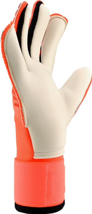 Produktbild Puma FUTURE Pro Hybrid (9.5)