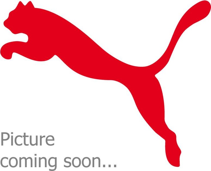 Actual product image Puma LIGA Baselayer Long Training Tight Men (S)
