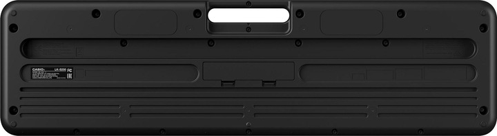 Actual product image Casio LK-S250 (61 Keys)