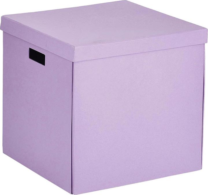 Zeller Present Boîte de rangement (33.5 x 33 x 32 cm)