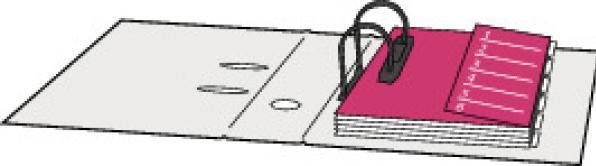 Actual product image Biella Register cardboard A4 1-5, 4hole