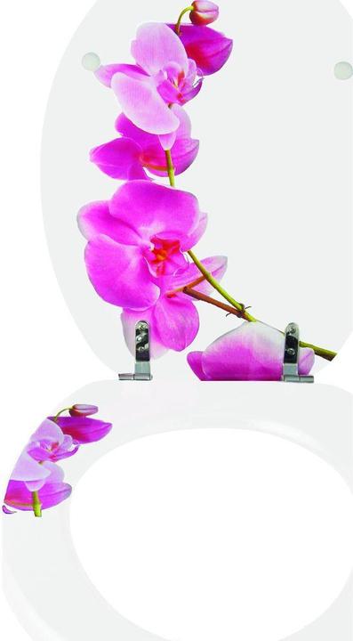 Actual product image MSV Lanyu