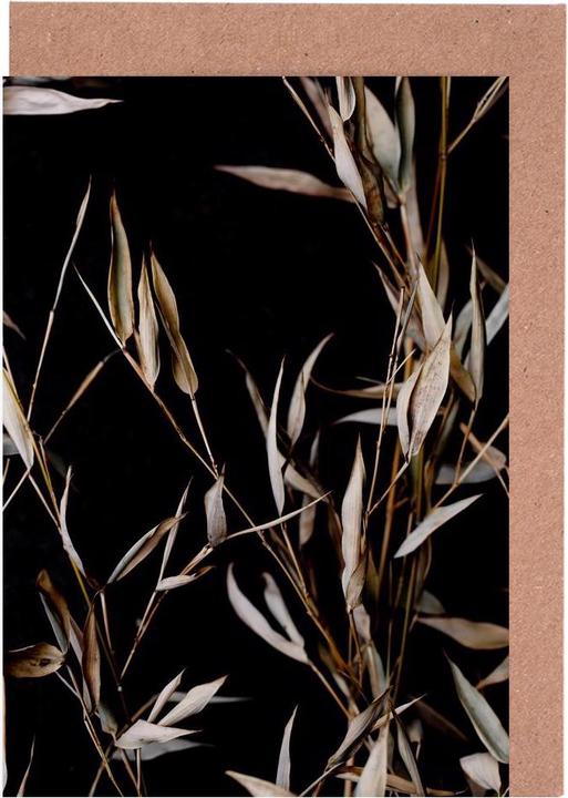 Actual product image Juniqe Last Summer 4 - Leaves & Plants (3 pcs.)