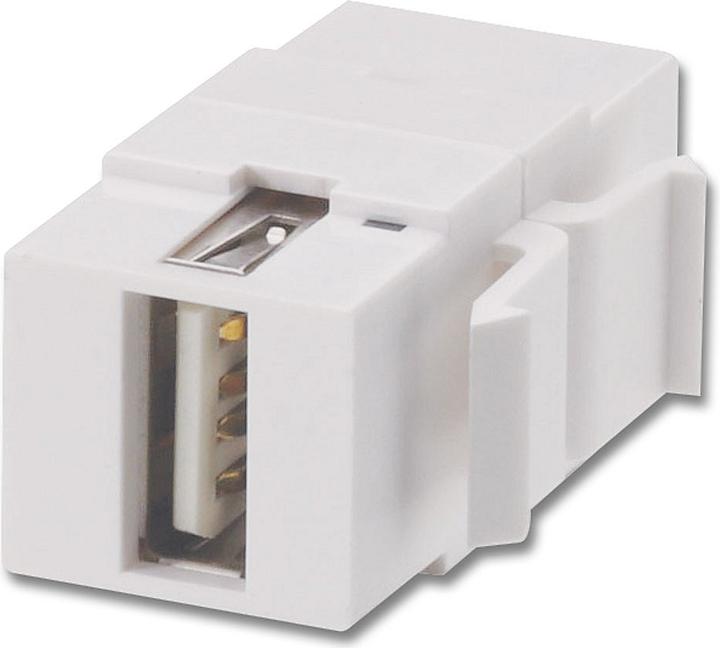 Actual product image Lindy USB A/B Double Coupling Keystone Module for Wall Outlets (Keystone module)