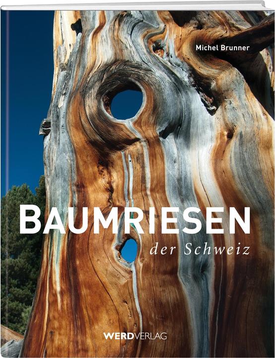 Baumriesen der Schweiz (Deutsch, Michel Brunner, 2014)