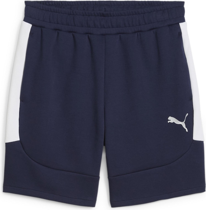 Puma teamEVOSTRIPE Shorts
