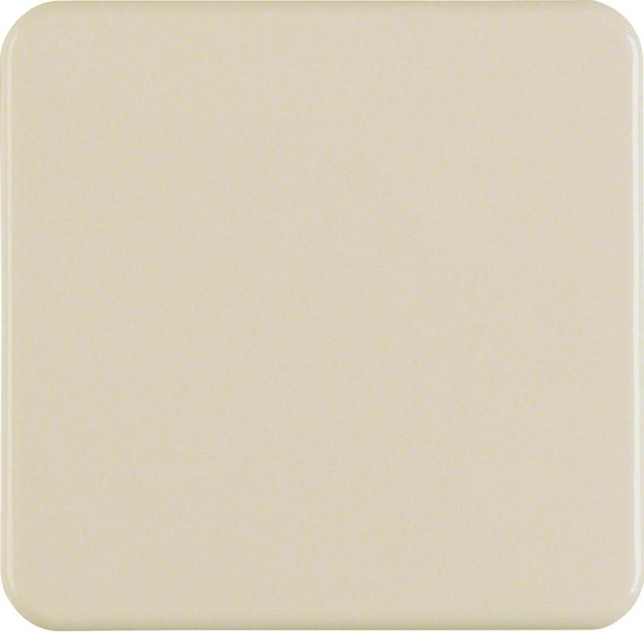 Actual product image Berker Rocker