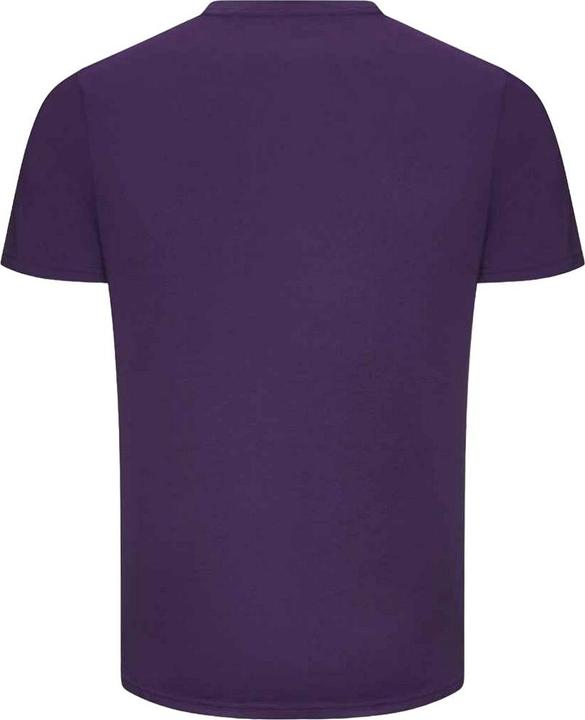 Produktbild Awdis The 100 TShirt (S)