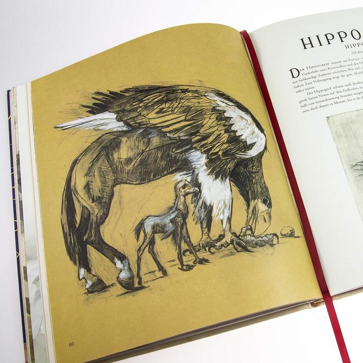Produktbild Phantastische Tierwesen und wo sie zu finden sind (vierfarbig illustrierte Schmuckausgabe) (Deutsch, J.K. Rowling, 2017)
