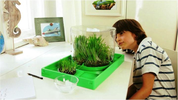 Produktbild Ravensburger ScienceX SX Ökosystem Erde