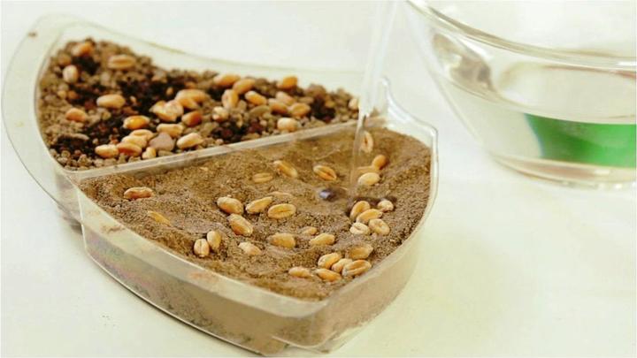 Produktbild Ravensburger ScienceX SX Ökosystem Erde