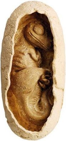 Produktbild Kosmos Giganten der Urzeit: Dino-Ei T-rex
