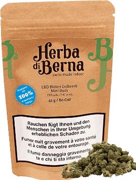 Produktbild Herba di Berna Erdbeerli Mini Buds (42 g, Indoor)