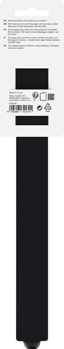 Actual product image Faber-Castell Ruler Dots 30.0 cm, black (30 cm, Plastic)