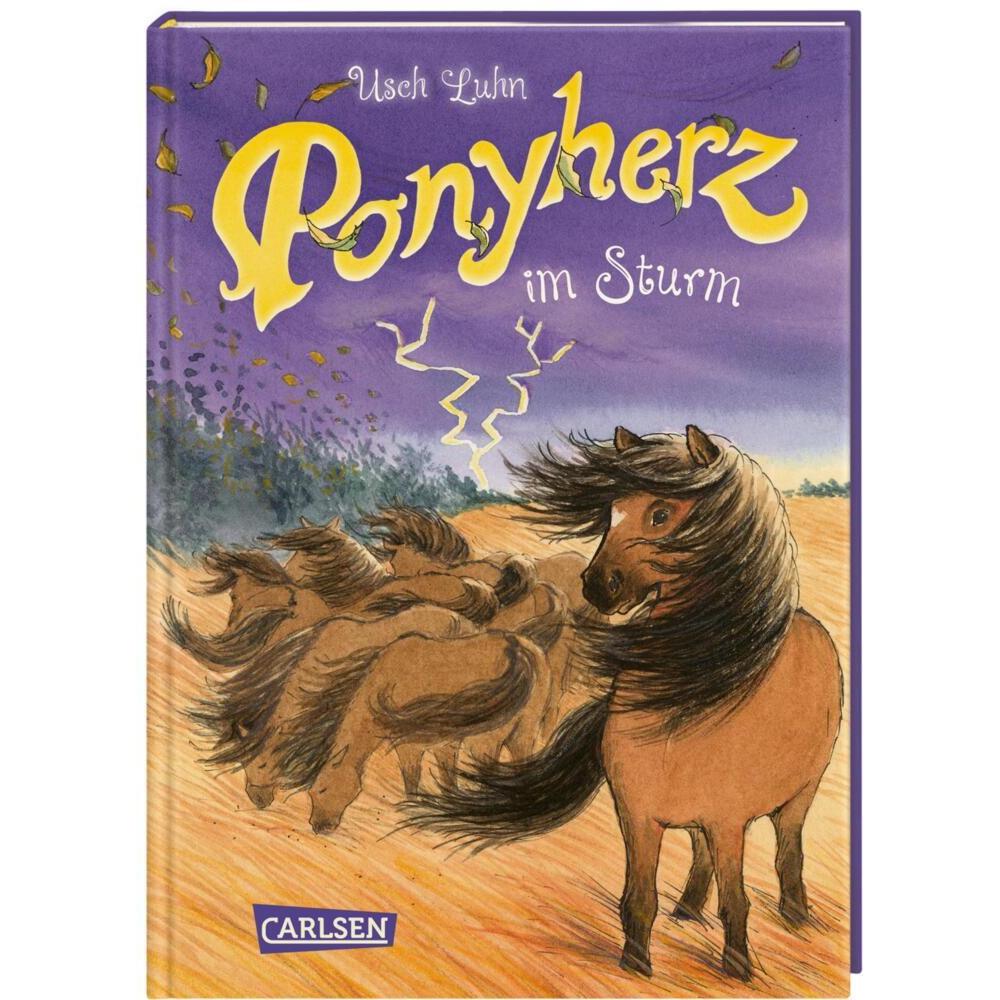 Ponyherz 14: Ponyherz im Sturm, Kinderbücher von Usch Luhn, Franziska Harvey