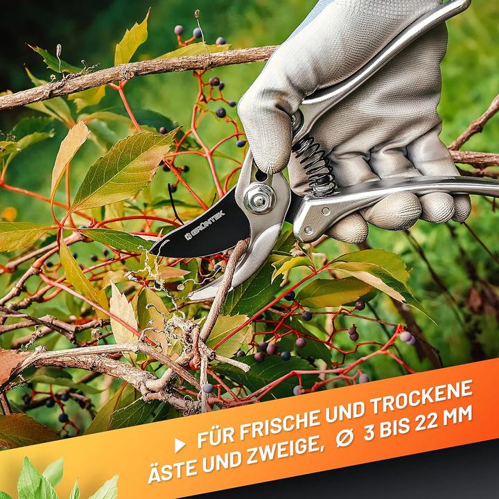 Produktbild Grüntek Gartenschere - Silberschnitt-Bypass