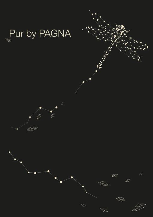Produktbild Pagna Pultordner (A4, 1 x)