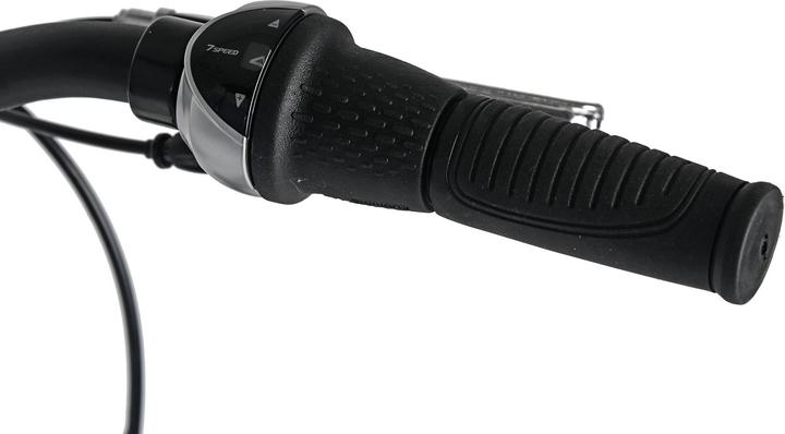 Produktbild Damenrad 28" Padova 7 Gänge RH 48 cm (48 cm)