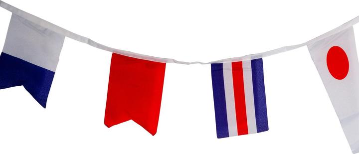 Actual product image AWN Signalflaggenkette (14 x 22 cm)