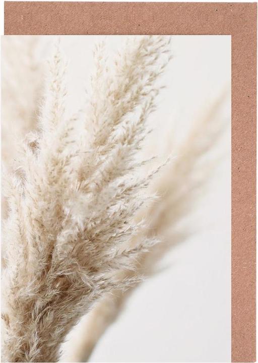 Produktbild Juniqe Pampas-Gras (15 Stk.)