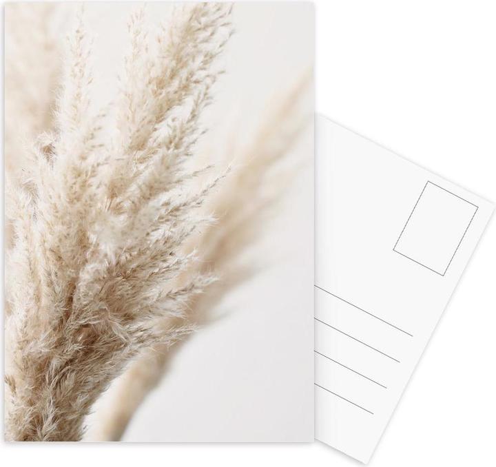 Produktbild Juniqe Pampas-Gras (10 Stk.)