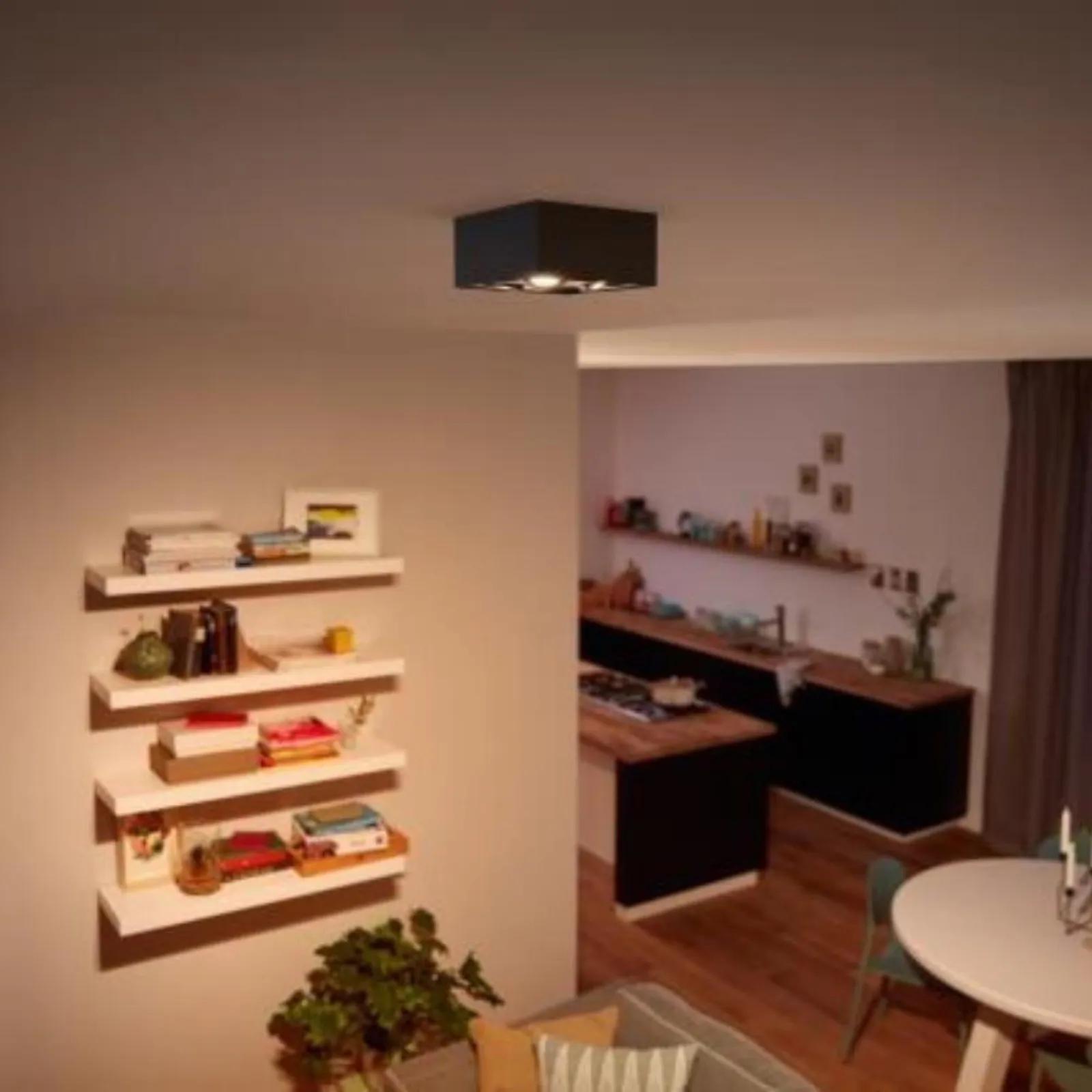 Thumbnail - Philips, Wandleuchte + Deckenleuchte, Harvest (2000 lm)