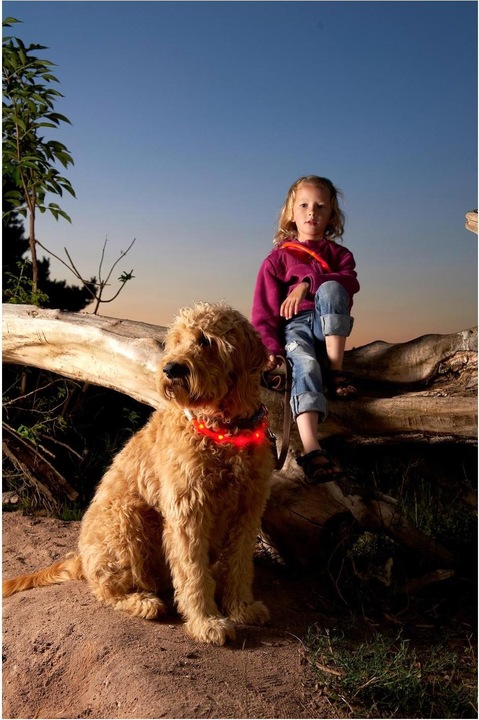 Image du produit Karlie Viso Light (L, Chien, Promenade)