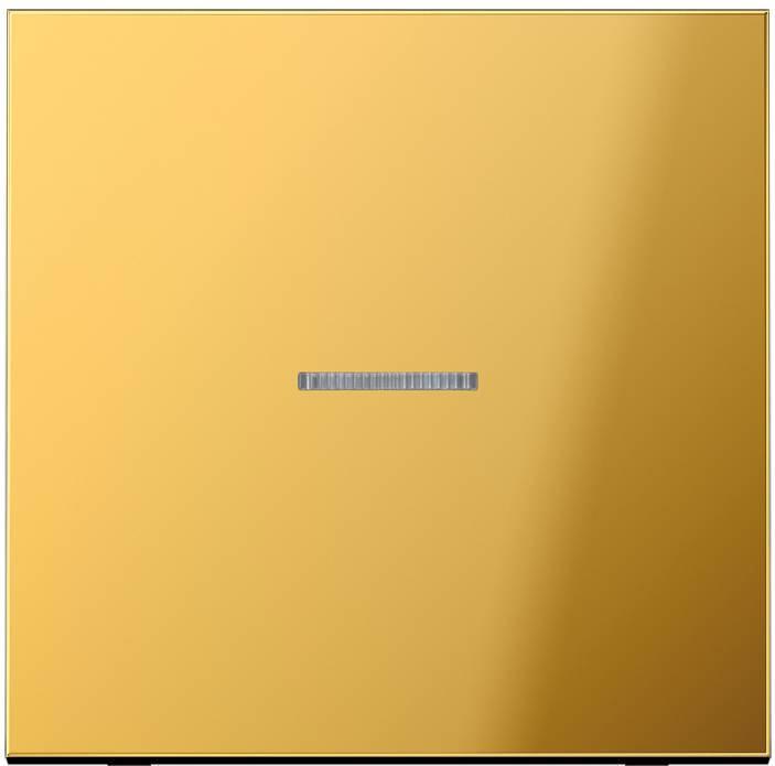 Actual product image JUNG Control rocker switch LS go glz GO2990KO5