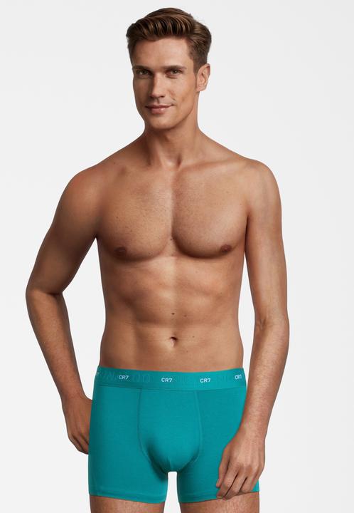 Produktbild CR7 Trunk Bamboo (XL, 3er Pack)