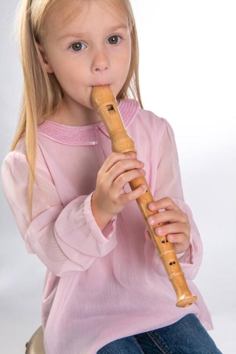 Actual product image Boogie Bee Recorder (German)