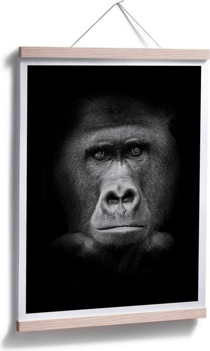 Produktbild Trenddeko Gorilla (60 x 80 cm)