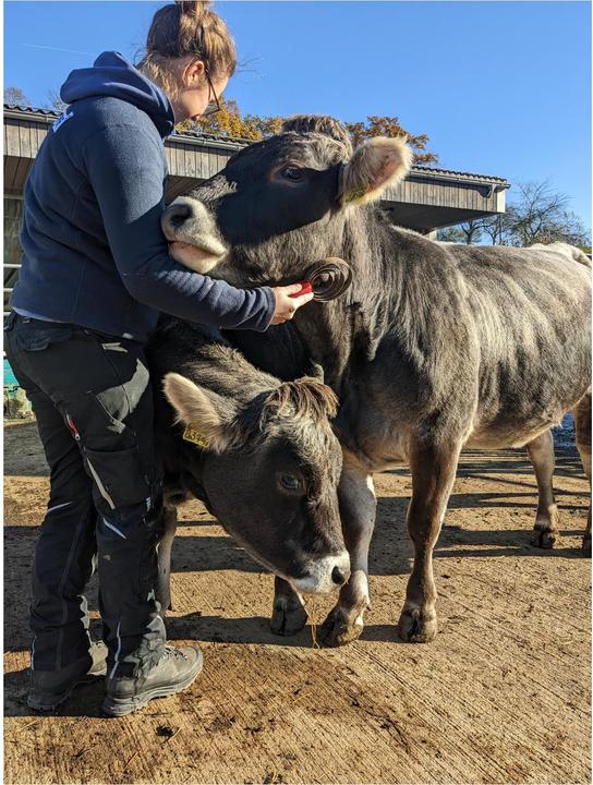 Actual product image Kerbl Spiral harrow