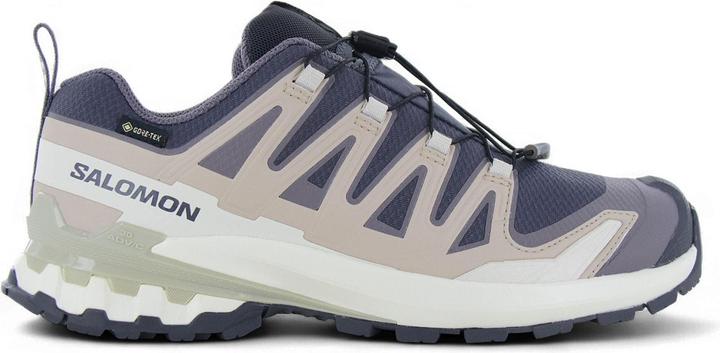 Image du produit Salomon XA Pro 3D V9 GTX (41)