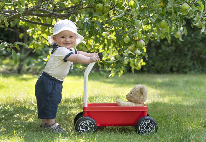 Image du produit Plasto 1068RED Bébé marcheur Rouge