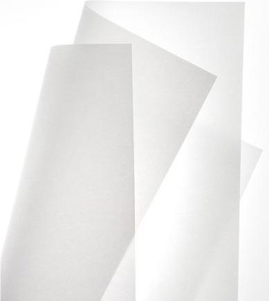 Actual product image Canson Grey date calque (70 g/m², 40x)