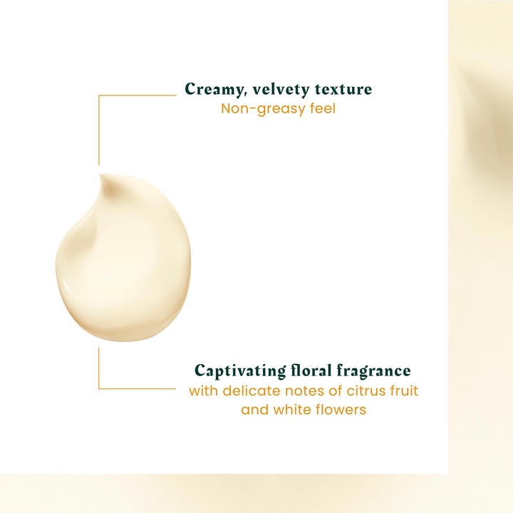 Image du produit Rene Furterer Karité Nutri Crème de jour nutrititon - sans rinçage (100 ml)