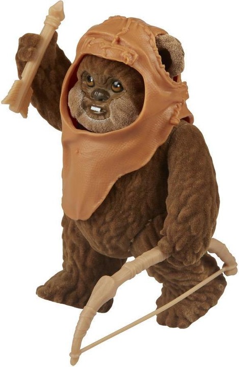 Actual product image Hasbro Star Wars Forces of Destiny Adventure Princess Leia & Wicket Figure 2-Pack (Endor Adventure)