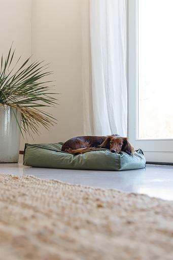 Produktbild Designed by Lotte Nalino (Hund)